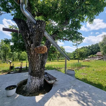 Casa Primitoare In Inima Naturii Si Padurii Rasca  المظهر الخارجي الصورة